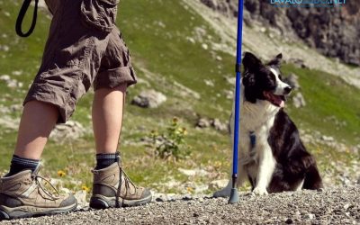 Senderismo con tu mascota